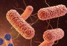 मानसून बीमारियों का खतरा